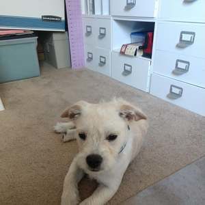 Meet your Posher, Debra